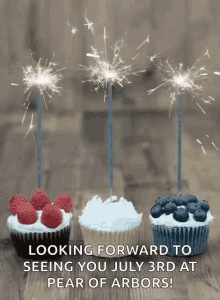 Cupcakes Sparklers GIF