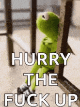 kermit the frog is sitting on a railing with the words `` hurry the fuck up '' written above him .