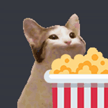 Cat Jam Popcorn GIF - Cat Jam Popcorn Cat GIFs