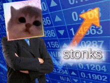 a man in a suit with a cat on his head stands in front of a stock chart that says " stonks "