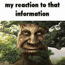 My Reaction To That Information My Reaction To That Information Meme GIF - My Reaction To That Information My Reaction To That Information Meme Didnt Ask GIFs