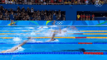Backstroke Olympics GIF