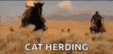 Herding Cats GIF - Herding Cats GIFs