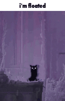 a black cat is floating in a purple circle in the dark .