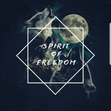 Sof Spirit Of Freedom GIF - Sof Spirit Of Freedom софы GIFs