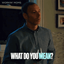 What Do You Mean Nathan GIF - What Do You Mean Nathan Workin Moms GIFs