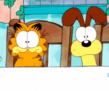 garfield dog cat what confused