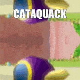 a purple object with the word cataquack written on it