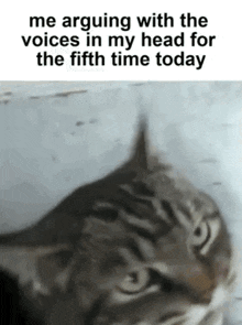 The Voices Cat GIF - The Voices Cat GIFs