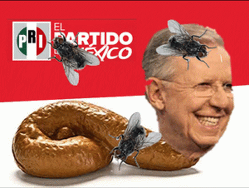 Doriga GIF DORIGA Discover & Share GIFs
