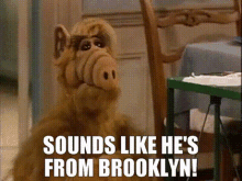 alf sounds like hes from brooklyn brooklyn new york