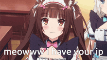 a girl in a maid costume says meowww i have your ip