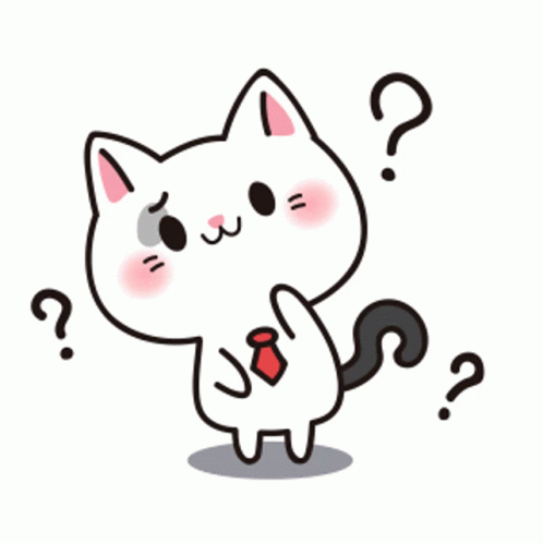 question-cat.gif