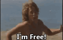 I'M Free! GIF - Freedom GIFs