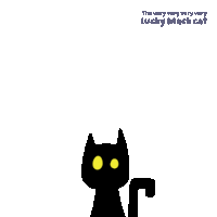 a very very very very lucky black cat with yellow eyes