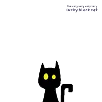 a very very very very lucky black cat with yellow eyes