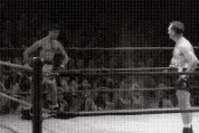 Jerry Lewis Boxing GIF