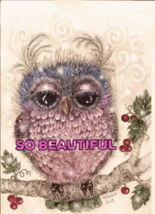 Owl Beautiful GIF - Owl Beautiful GIFs
