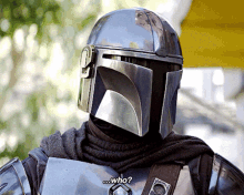 a man wearing a helmet says who