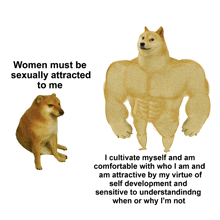 a doge says women must be sexually attracted to me and i cultivate myself