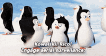 Kowalski Rico GIF - Kowalski Rico Engage Aerial Surveilance GIFs
