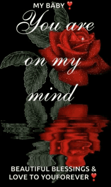 You Are On My Mind Love GIF