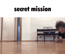 Secret Mission GIF