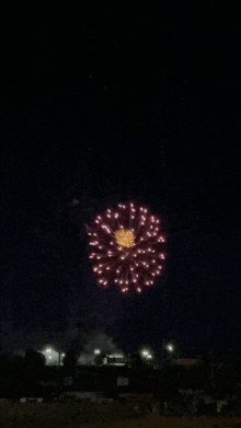 Fireworks Congratulations GIF - Fireworks Congratulations Happy Birthday GIFs