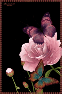 Butterfly Flower GIF - Butterfly Flower Pink GIFs