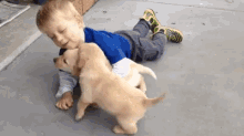 Puppies Overwhelmed GIF