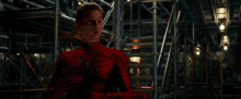 No Way Home You Are Amazing GIF - No Way Home You Are Amazing Tobey Maguire GIFs