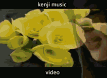 Kenji Music GIF - Kenji Music Video GIFs
