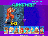 a character select screen for a video game shows a fighter named sho