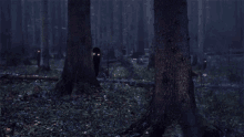 Ghost Forest GIF