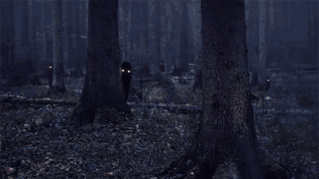 ghost-forest.gif