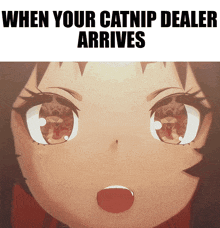 a picture of a girl 's face with the words " when your catnip dealer arrives " above it