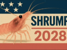 a shrimp on a banner that says shrimp 2028