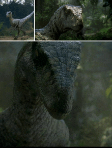 a collage of three pictures of a dinosaur in the jungle