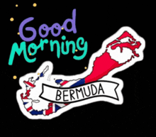Good Morning Bermuda Bermy GIF - Good Morning Bermuda Bermy GIFs