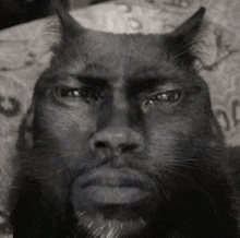 a black cat with horns on its head looks like a man