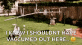 a dog standing in a yard with the words i knew i shouldnt have vaccumed out here