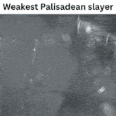 a black and white photo of a knight with the words weakest palisadean slayer above him