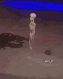 Skeleton Spin GIF - Skeleton Spin Dead GIFs