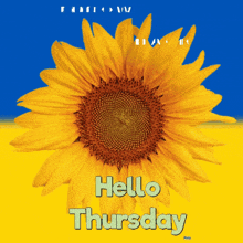 a sunflower with the words hello thursday written below it