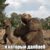 two monkeys are hugging each other in a field with a caption in a foreign language