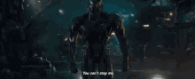 Ultron You Cant Stop Me GIF - Ultron You Cant Stop Me Unstoppable GIFs
