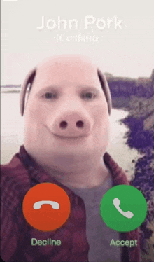 a man with a pig face is talking on a phone