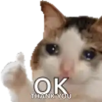 a cat is giving a thumbs up and saying ok thank you
