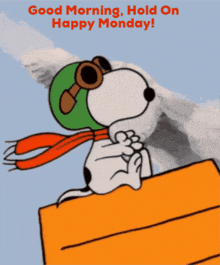Hold On Its Monday Happy Monday GIF - Hold On Its Monday Happy Monday Monday GIFs