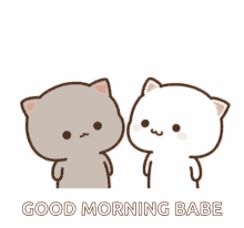 kittens kiss muah cute good morning kiss
